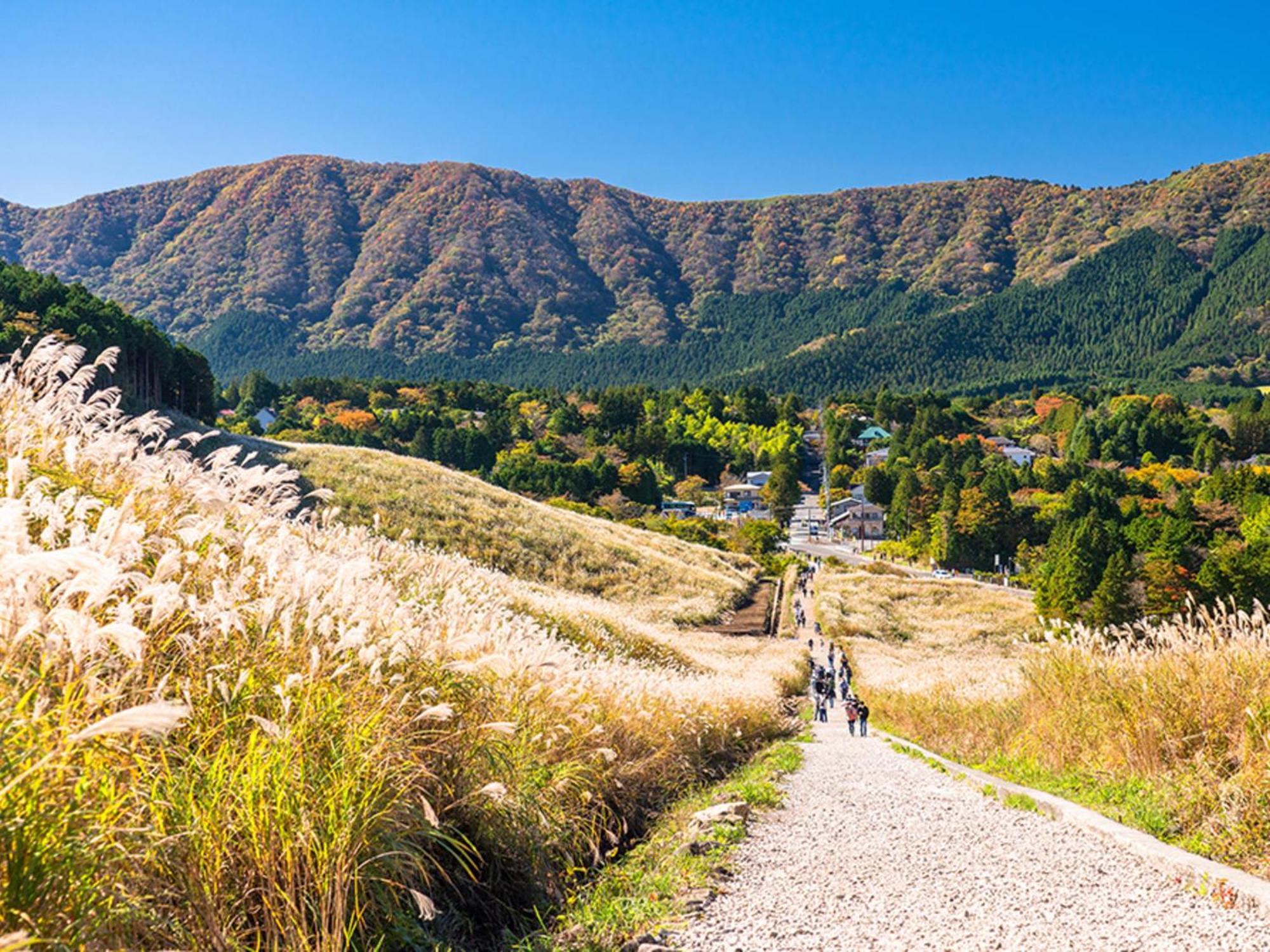 Hotel Shikinoyakata Hakone Ashinoko 外观 照片